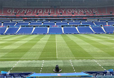 Olympique Lyonnais pitch care