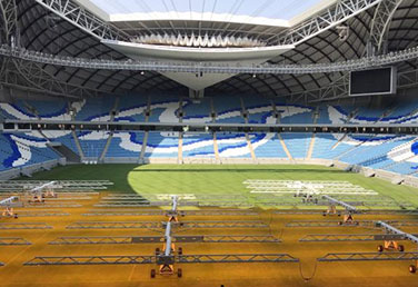 Al Janoub Stadium tournament pitch preparation